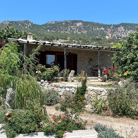 Beso Patara Otel Dış mekan fotoğraf