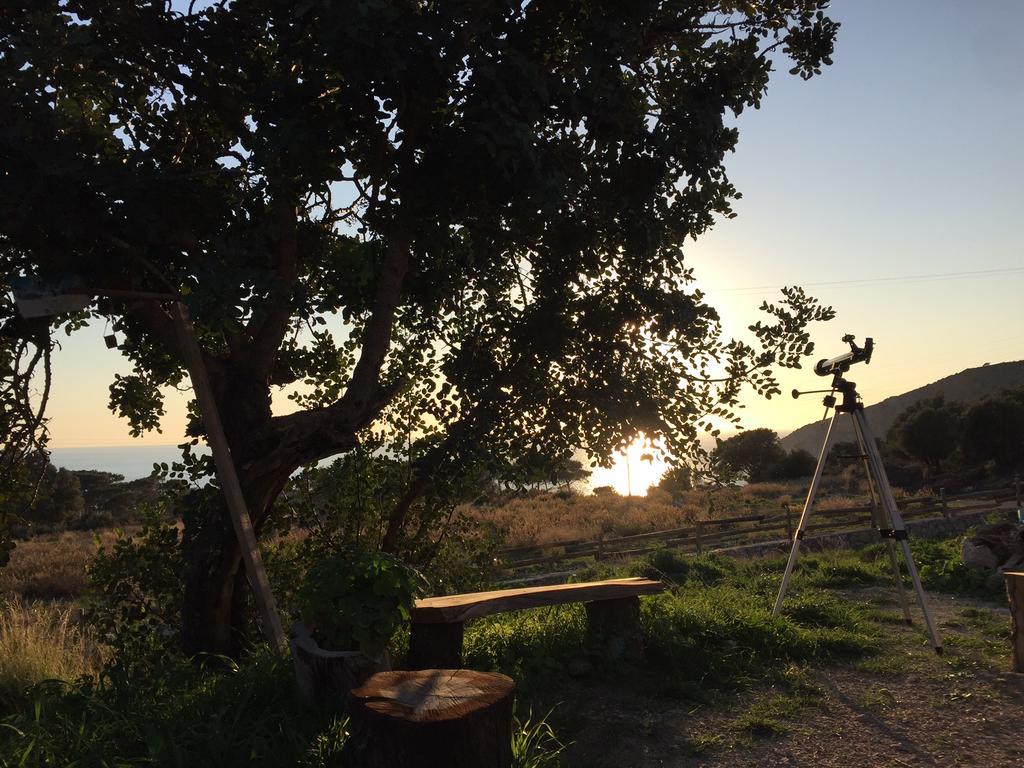 Beso Patara Otel Dış mekan fotoğraf