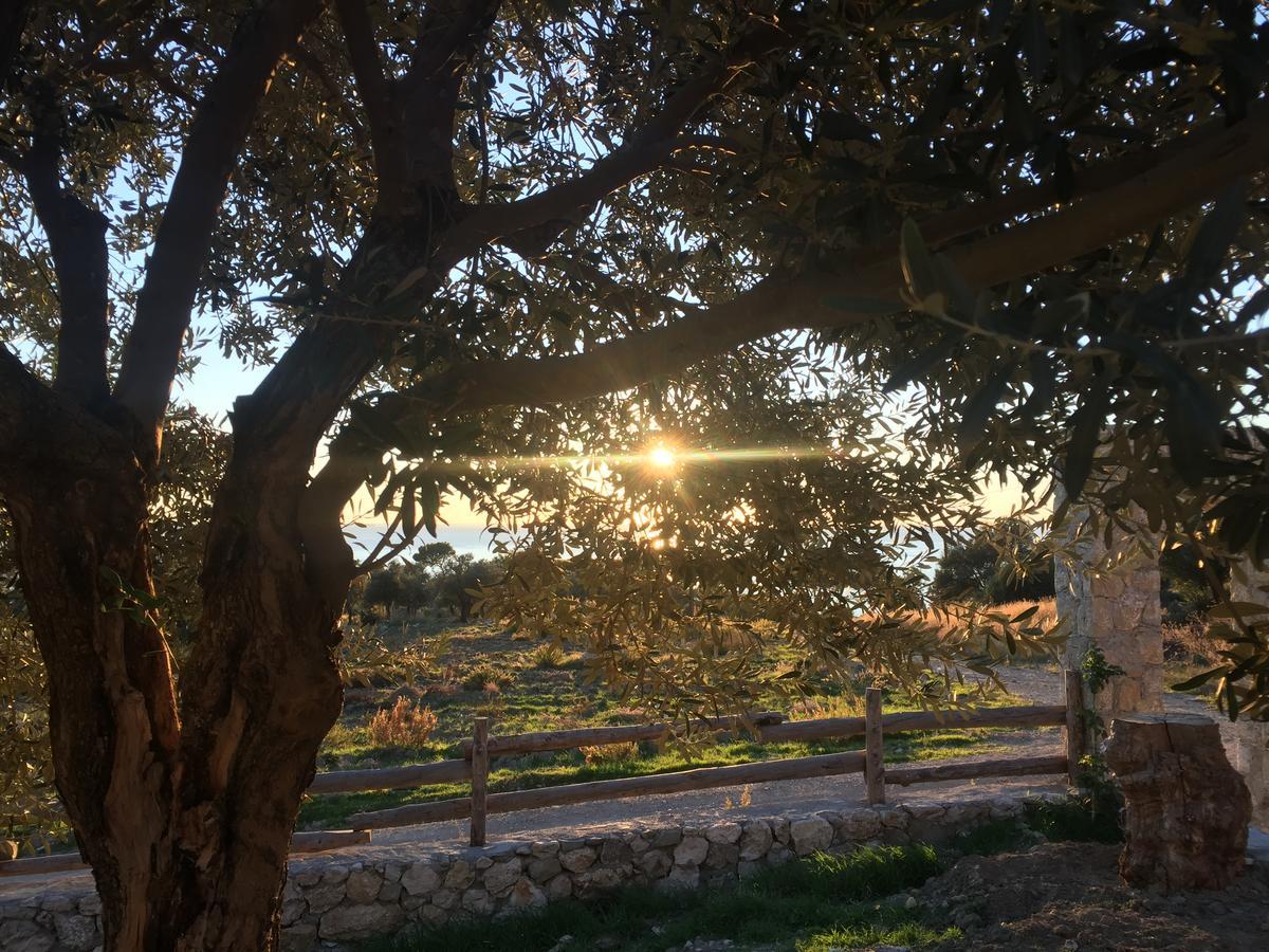 Beso Patara Otel Dış mekan fotoğraf