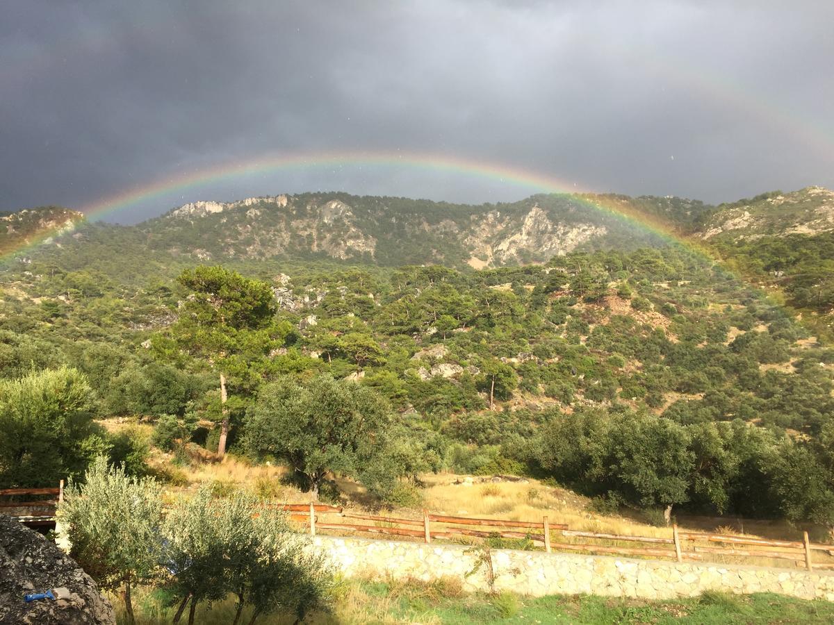 Beso Patara Otel Dış mekan fotoğraf