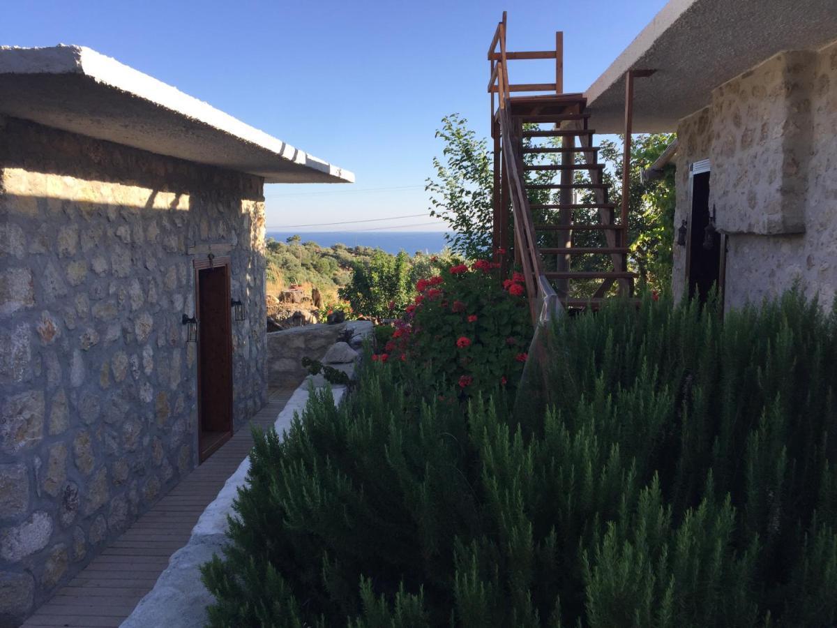 Beso Patara Otel Dış mekan fotoğraf